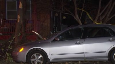 Winds Down Trees in Montgomery County