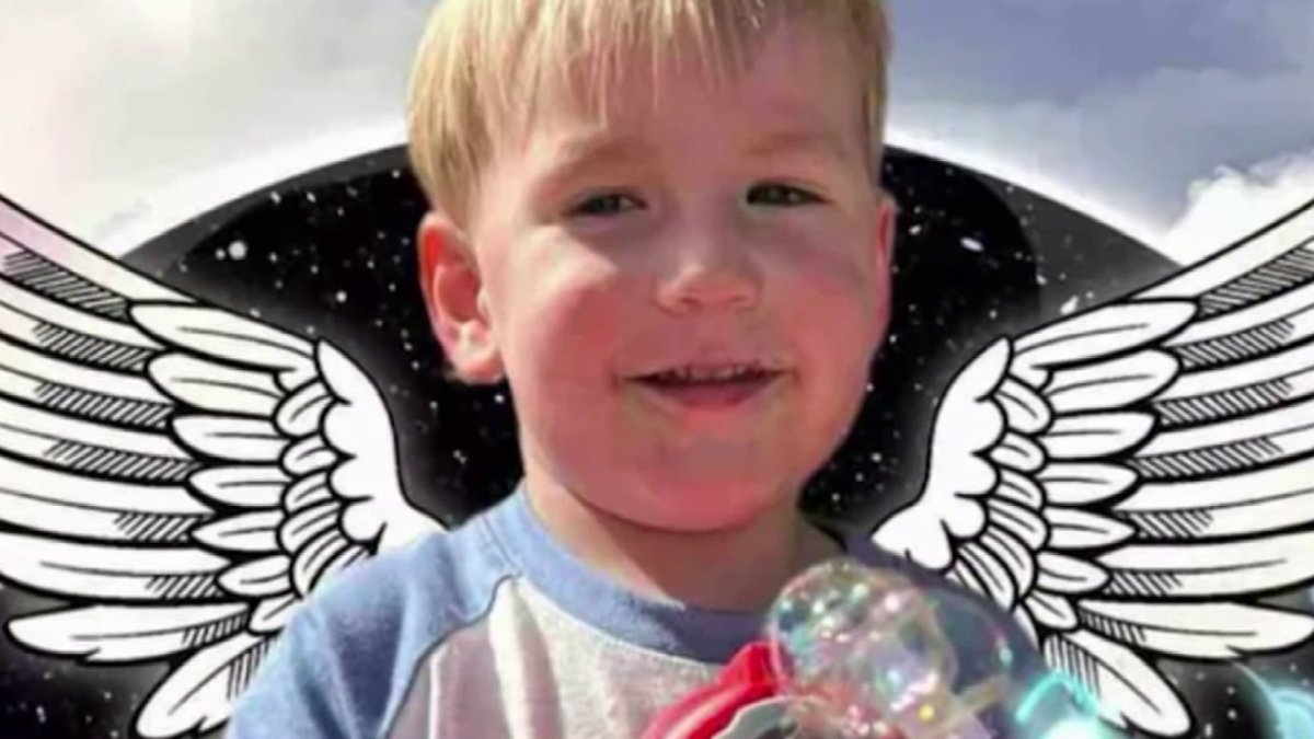 Dog Attacks, Kills 2YearOld in Frederick County MD Police NBC4