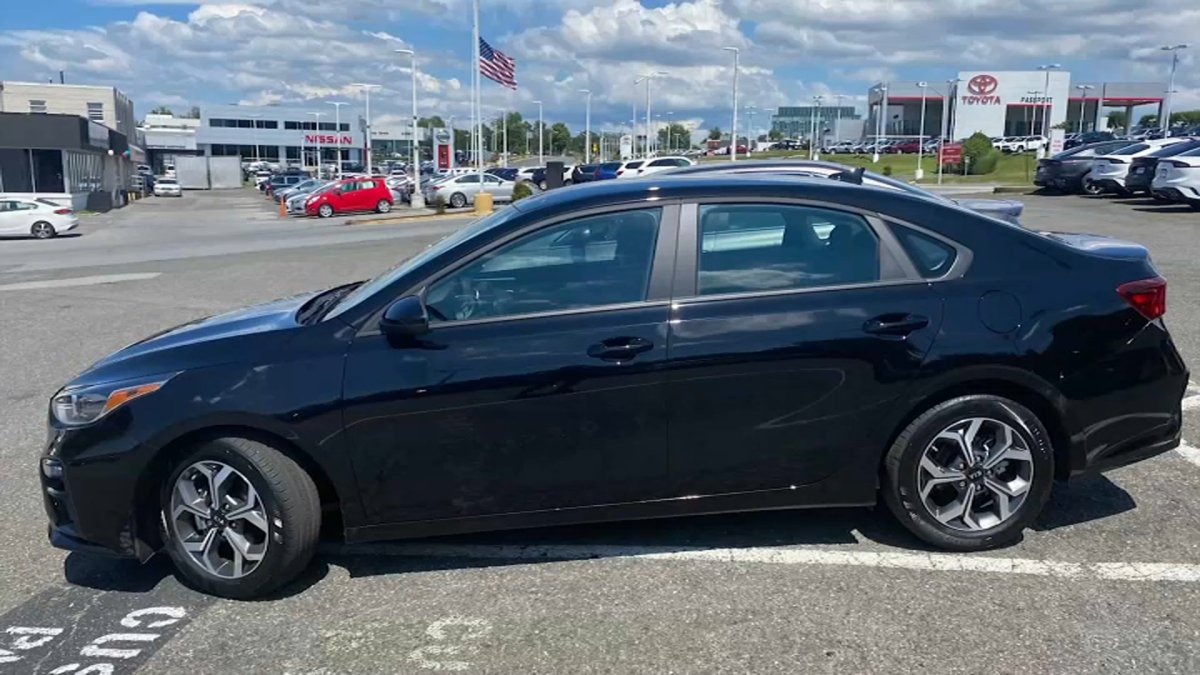 Kias, Hyundais Account for Half of Cars Stolen in Prince This