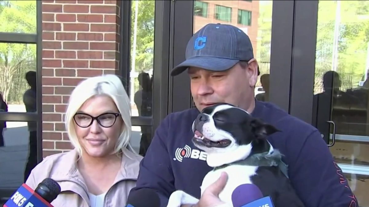 Missing Terrier Reunited With Owners After Weeks of Searching in ...