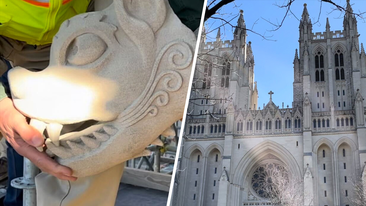 Washington National buy Cathedral gargoyle p