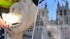 Darth Vader and a Decapitated Bat: Here Are Some of the National Cathedral's Most Interesting Carvings