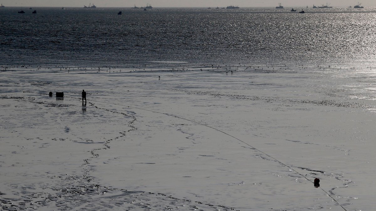 Illinois Man Gets Stuck Waist-Deep in Alaska Mud Flats, Drowns as Tide Comes in – NBC4 Washington - Vimarsana News