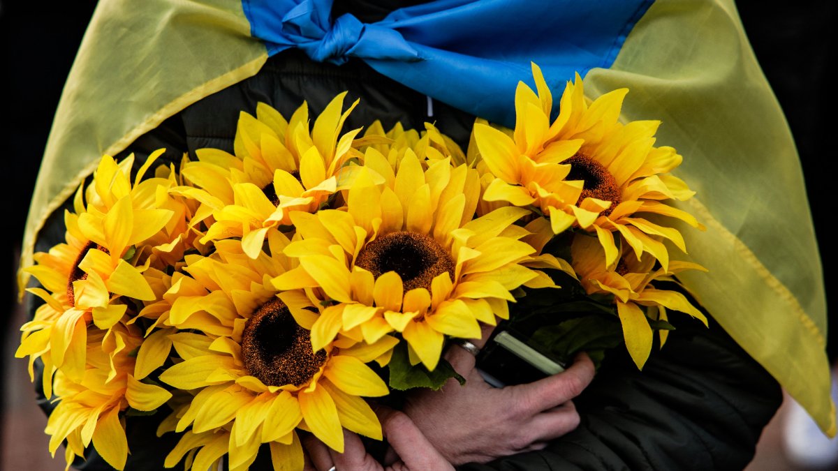 Activists to Plant Sunflowers Outside Russian Embassy for Second Year in a Row