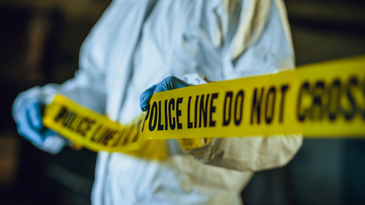 Compton man killed in pit bull attack – NBC4 Washington - Vimarsana News