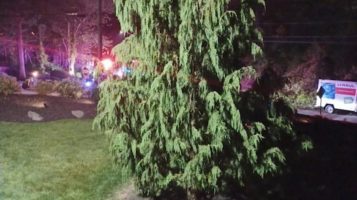 Police Find Kidnapped Woman in U-Haul They Were Pursing Following Prince George’s County Crashes Police Find Kidnapped Woman in U-Haul They Were Pursing Following Prince George’s County Crashes