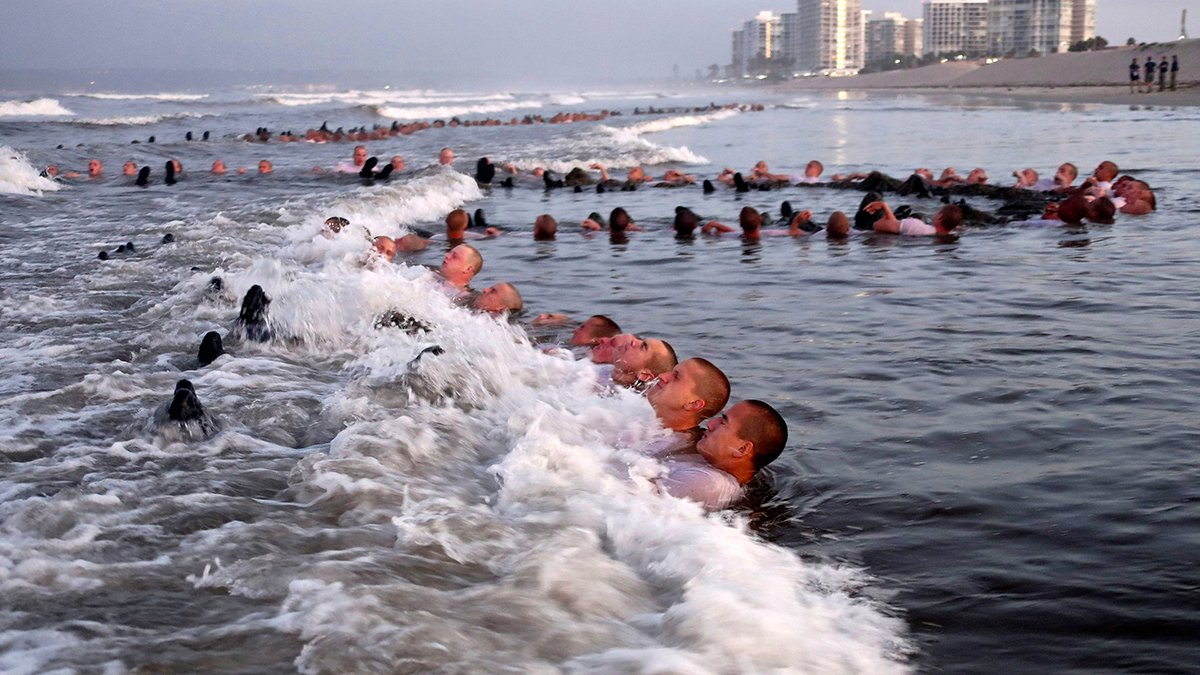 SEALs Training Plagued by Pervasive Problems, Navy Finds – NBC4 Washington - Vimarsana News