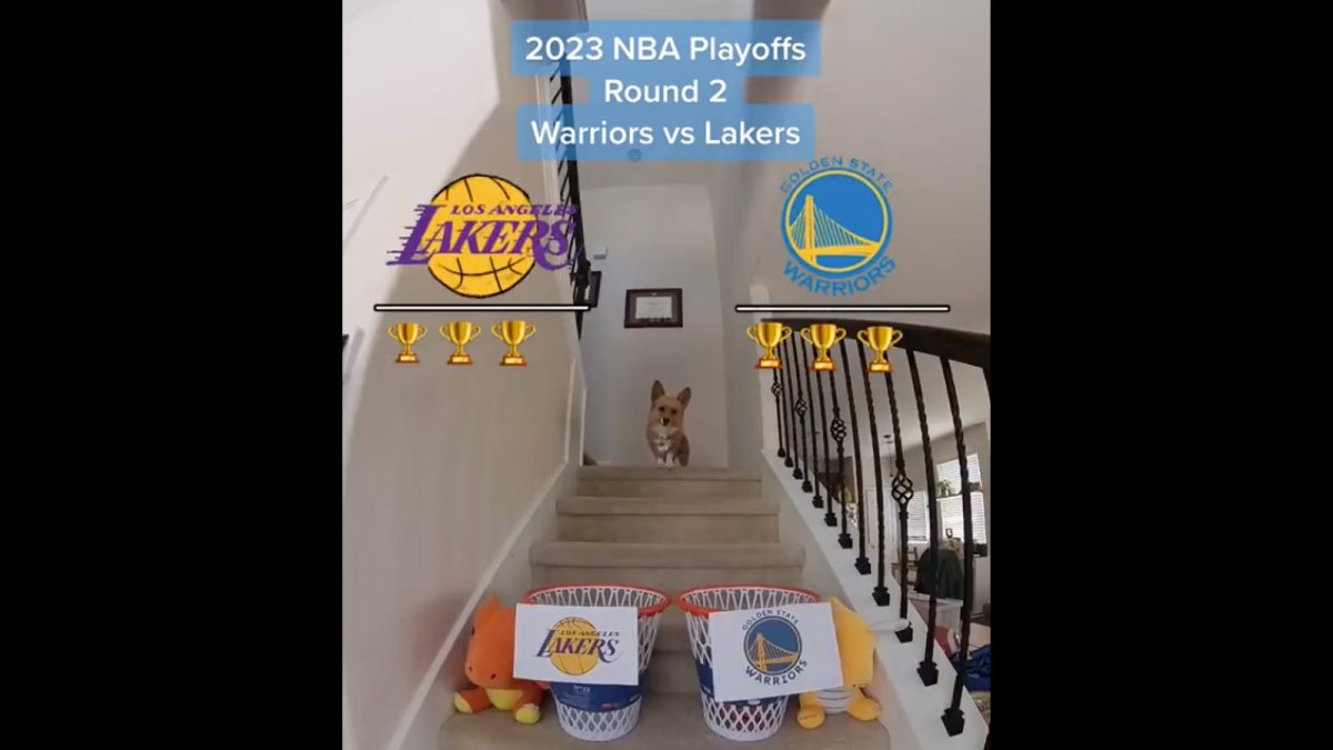 Dog's Viral WarriorsLakers NBA Playoff Prediction Giving Dub Nation