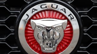 the Jaguar company logo