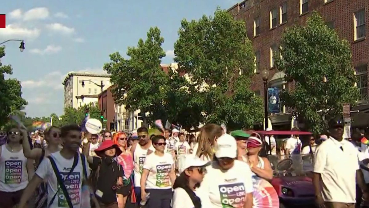Crowds celebrate love with the Capital Pride Parade in DC