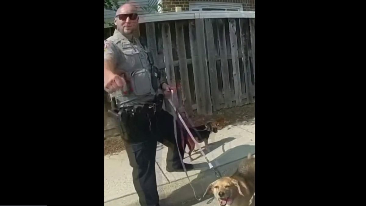 Video shows Fairfax County officer save dogs from burning home – NBC4 ...