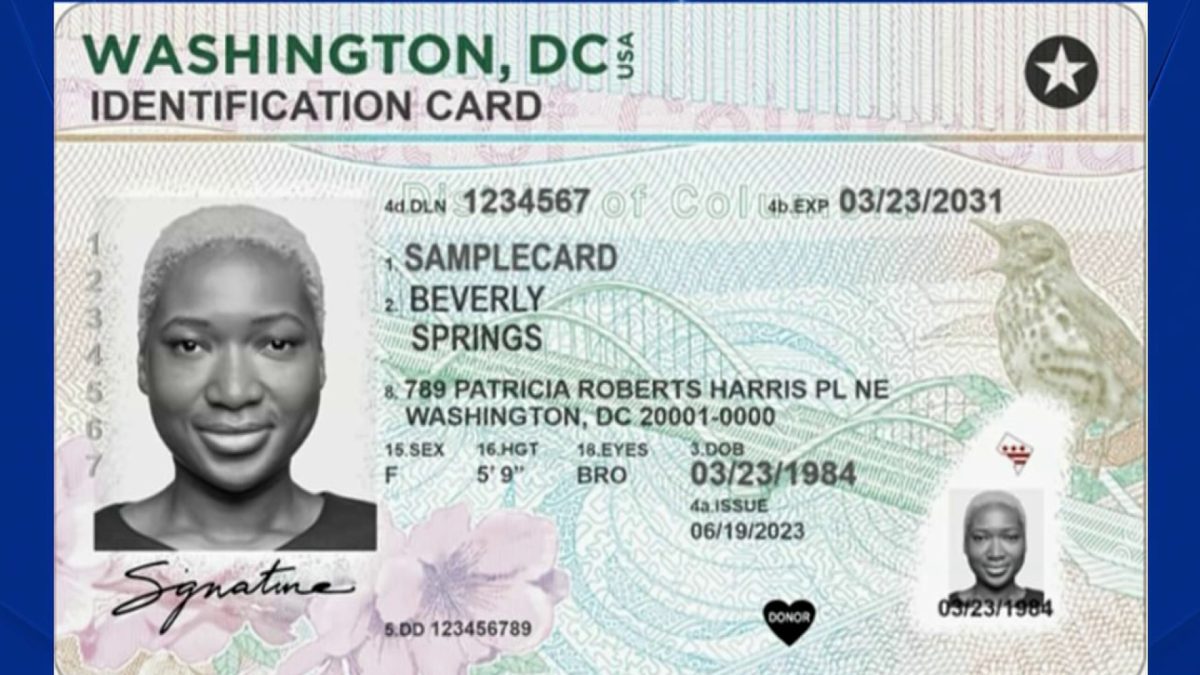 DC driver’s license gets new design in July – NBC4 Washington