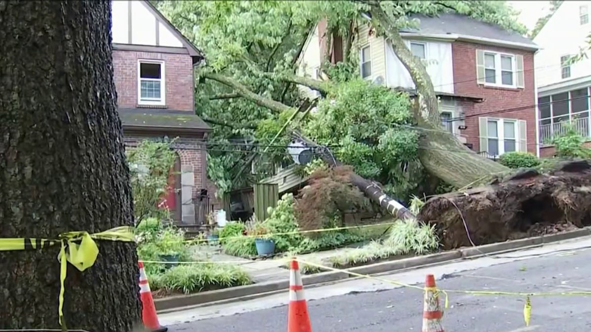 Storms leave damage behind across the DC area – NBC4 Washington