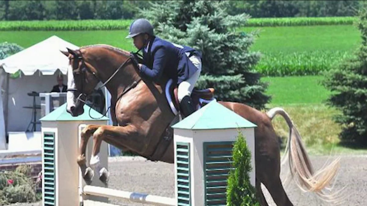 Narasha Merback Prestigious horse show returns to Prince George’s County – NBC4 Washington