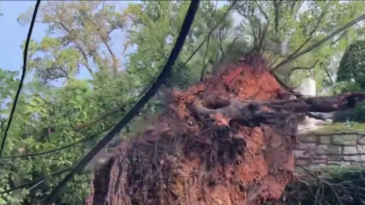 Thousands without power, roads blocked by downed trees after storm ...