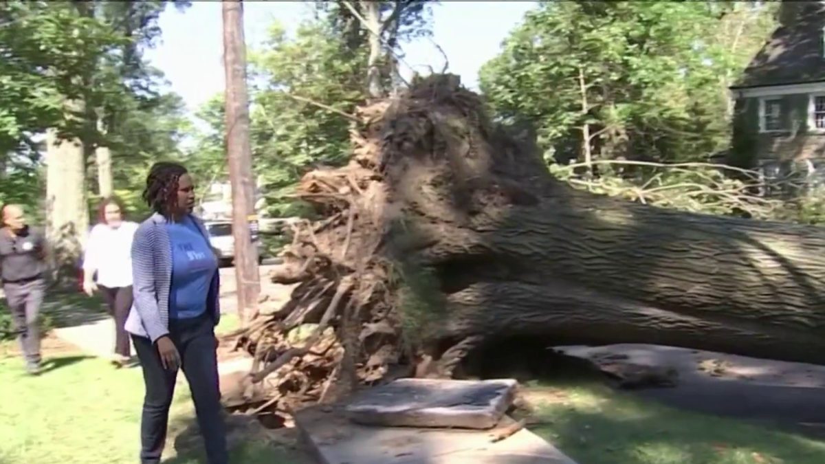 Power outages, GW Parkway closures What to know Monday NBC4 Washington