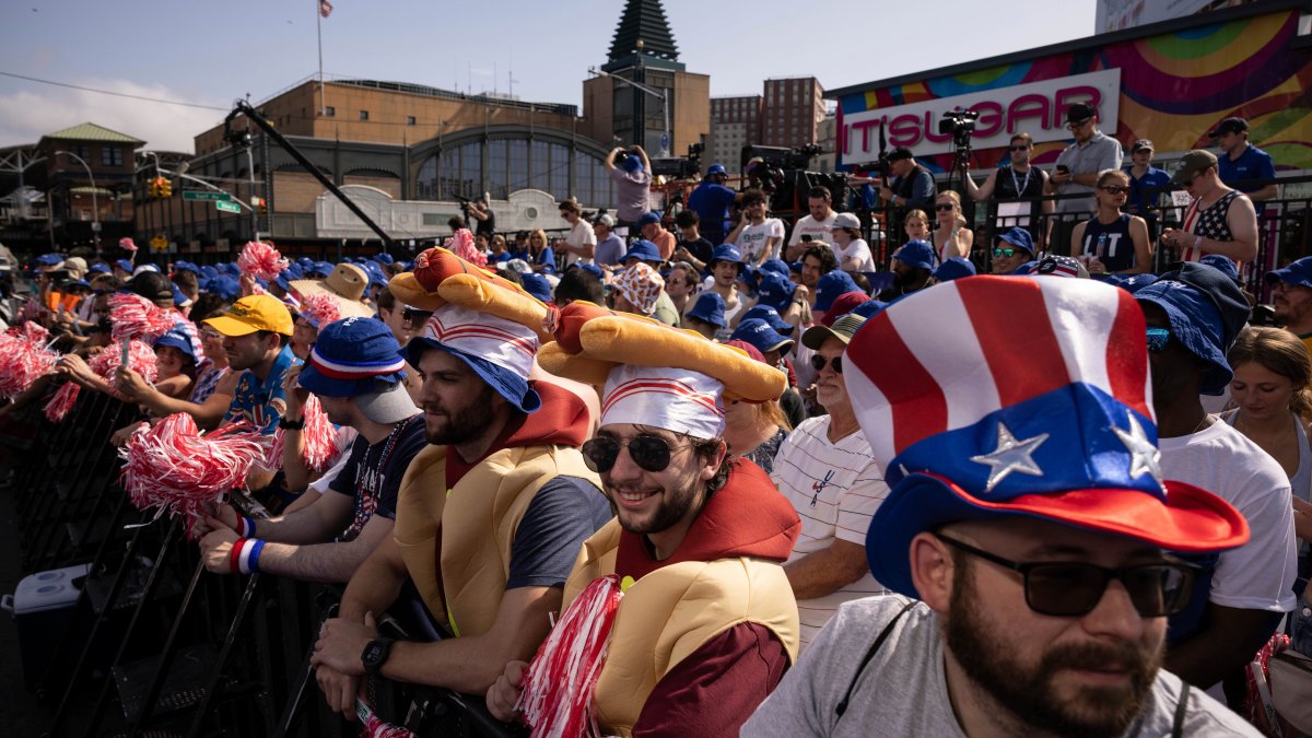 Millions across the US brave severe weather to celebrate Fourth of July – NBC4 Washington - Vimarsana News