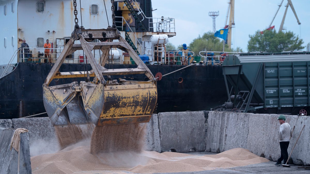 Russia halts wartime deal that allows Ukraine to ship grain – NBC4 Washington - Vimarsana News