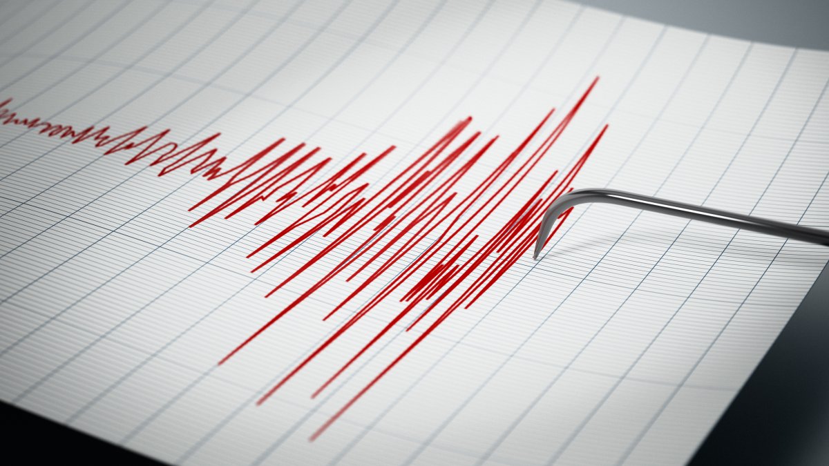 7.4 magnitude quake strikes the Alaska Peninsula, triggers tsunami advisory – NBC4 Washington - Vimarsana News