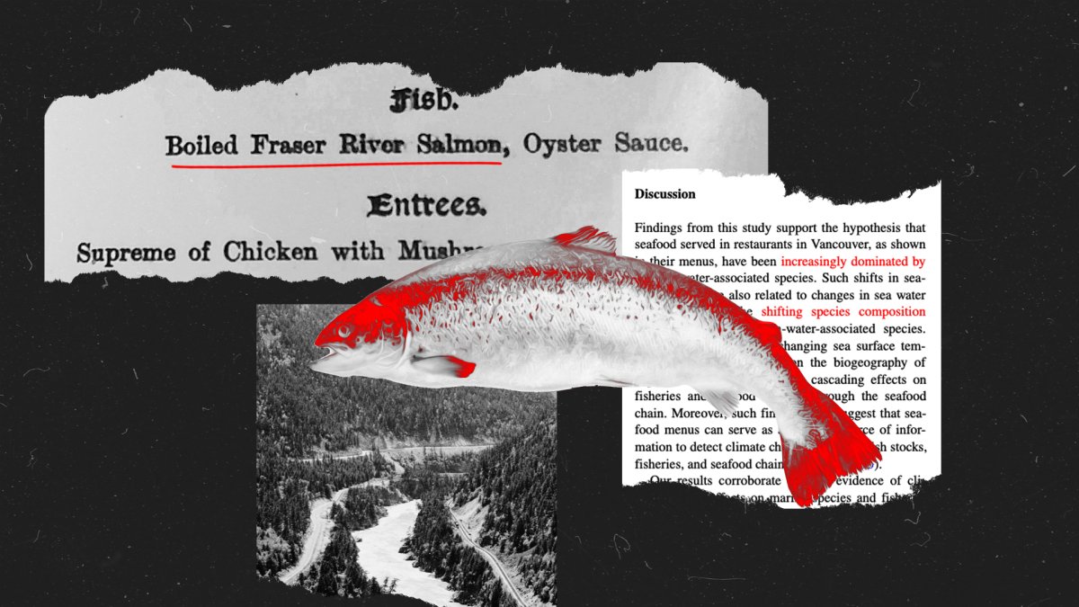 How warming temperatures change seafood dishes on menus – NBC4 Washington - Vimarsana News