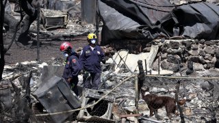 Search and rescue crews look through the remains of a neighborhood on August 17, 2023 in Lahaina, Hawaii.