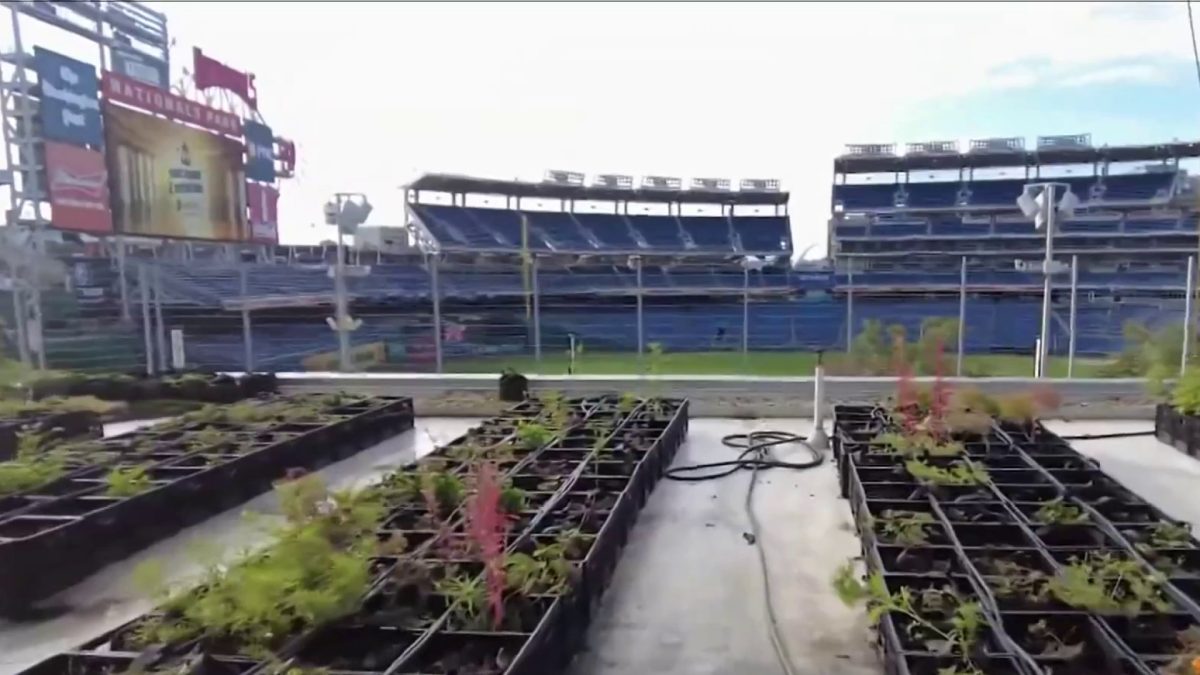 News4's Joseph Olmo reports on how an unused space at Nationals Park w