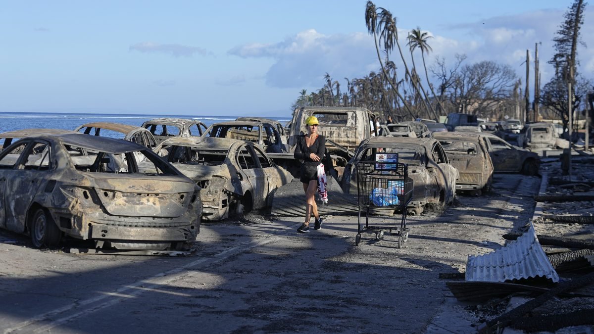 Maui wildfire victims receive help from Paradise fire survivors – NBC4 Washington - Vimarsana News