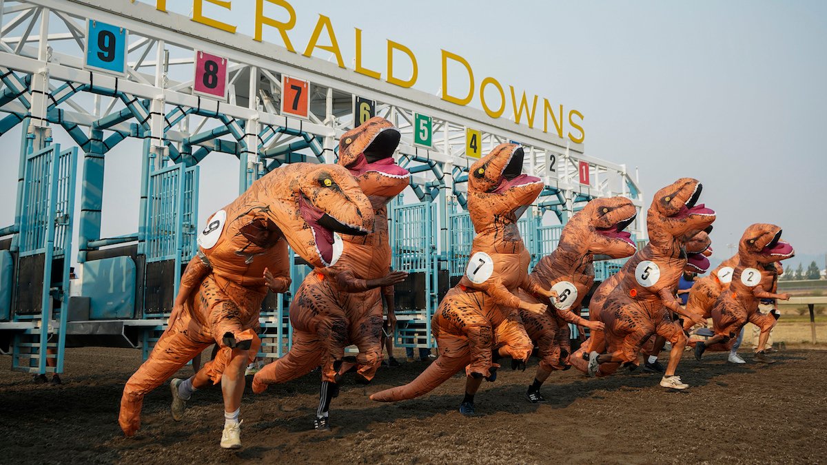 T-Rex's race to photo finish at Washington state track – NBC4 Washington - Vimarsana News