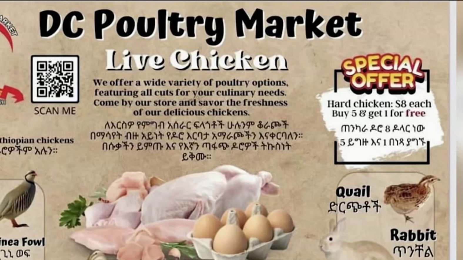 Alexandria slaughterhouse with permit to sell chicken and birds accused ...