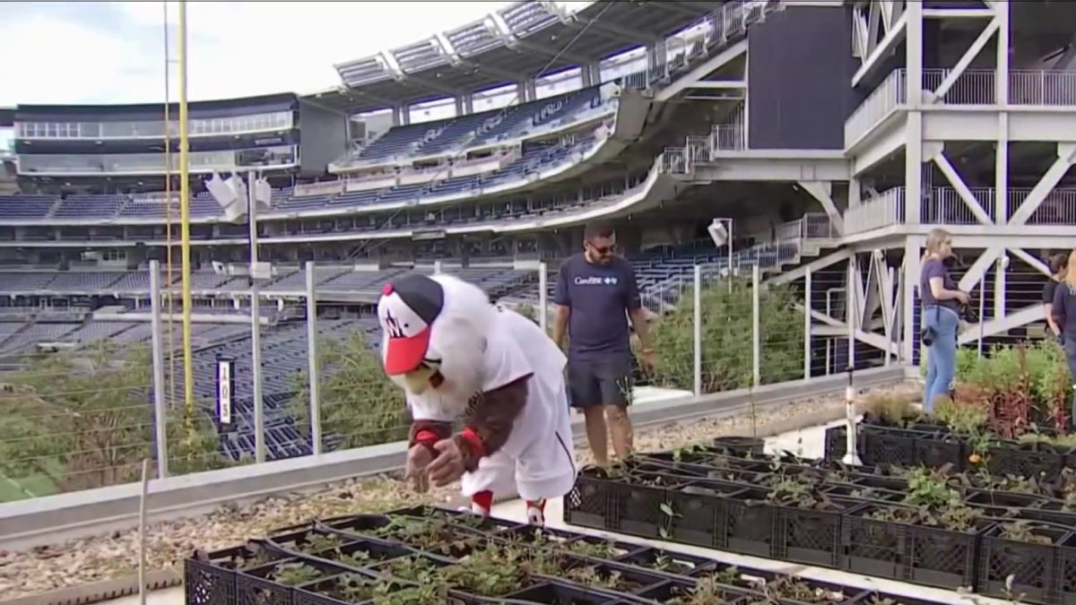 There’s a garden at Nationals Park. Here’s a look. NBC4 Washington