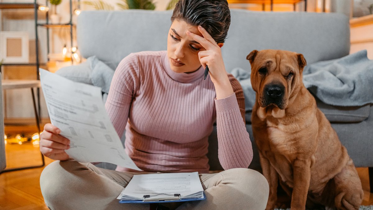 As pet insurance becomes more popular, pet owners fret about rising prices, denied claims – NBC4 Washington - Vimarsana News