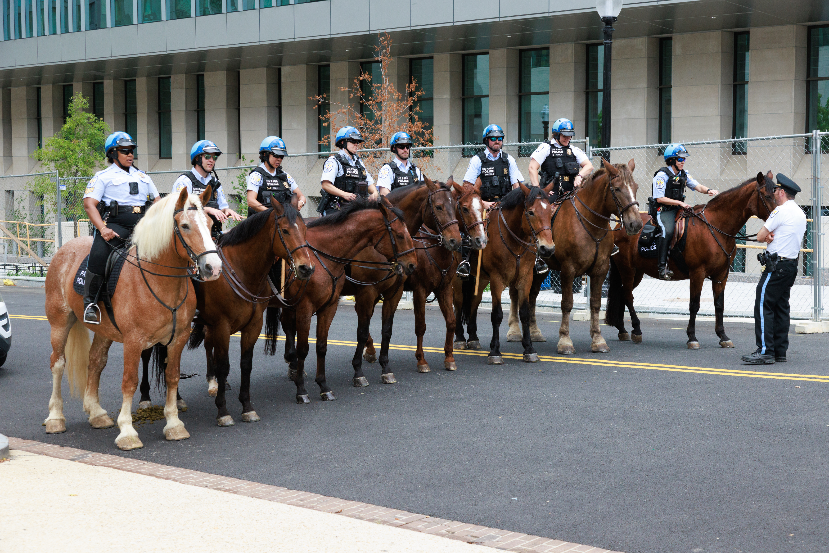 âââââââWASHINGTON DC, UNITED STATES – AUGUST 03: Horse-mounted police stand guard as demonstrators gather outside of the Elijah Barrett Prettyman Federal Courthouse in Washington, D.C., on August 3, 2023 ahead of former U.S. President Donald Trump’s arrival for arraignment on conspiracy and obstruction federal charges related to the January 6, 2021 U.S. Capitol riots. (Photo by Bryan Dozier/Anadolu Agency via Getty Images)