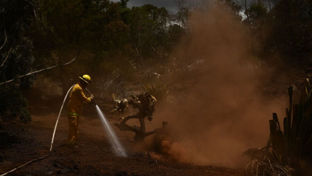 Hawaii electric company says power lines did not cause deadly Maui wildfire – NBC4 Washington - Vimarsana News