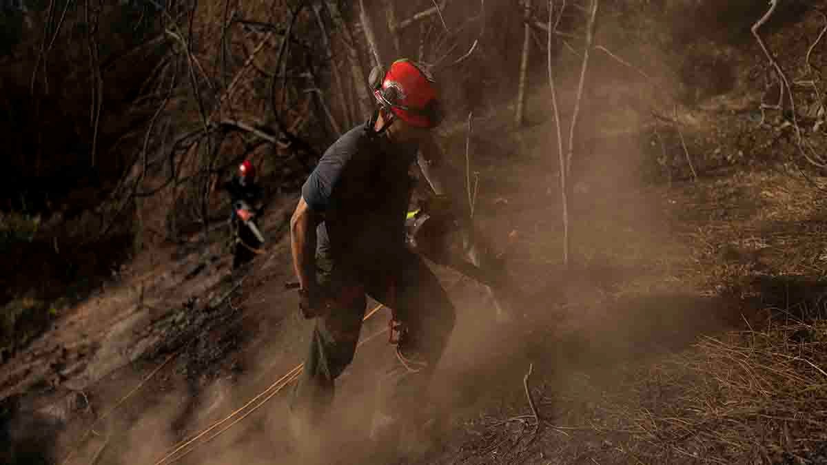 Maui wildfire survivors face power cuts and poor cell service amid ongoing search efforts – NBC4 Washington - Vimarsana News