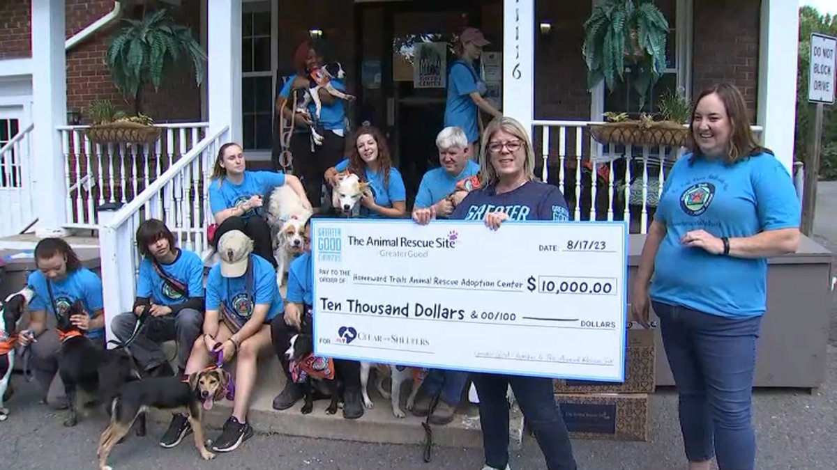 Northern Virginia animal shelter receives 10K surprise donation NBC4