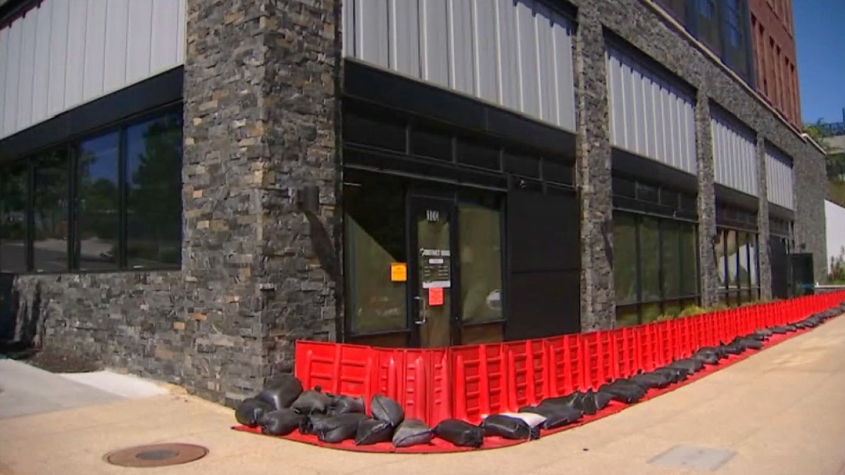 After 10 dogs drowned at District Dogs, DC to restrict future use of