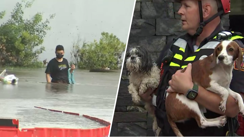 Rescues underway in Northeast D.C. after flooding on Rhode Island Avenue NE and District Dogs on Aug. 14, 2023.