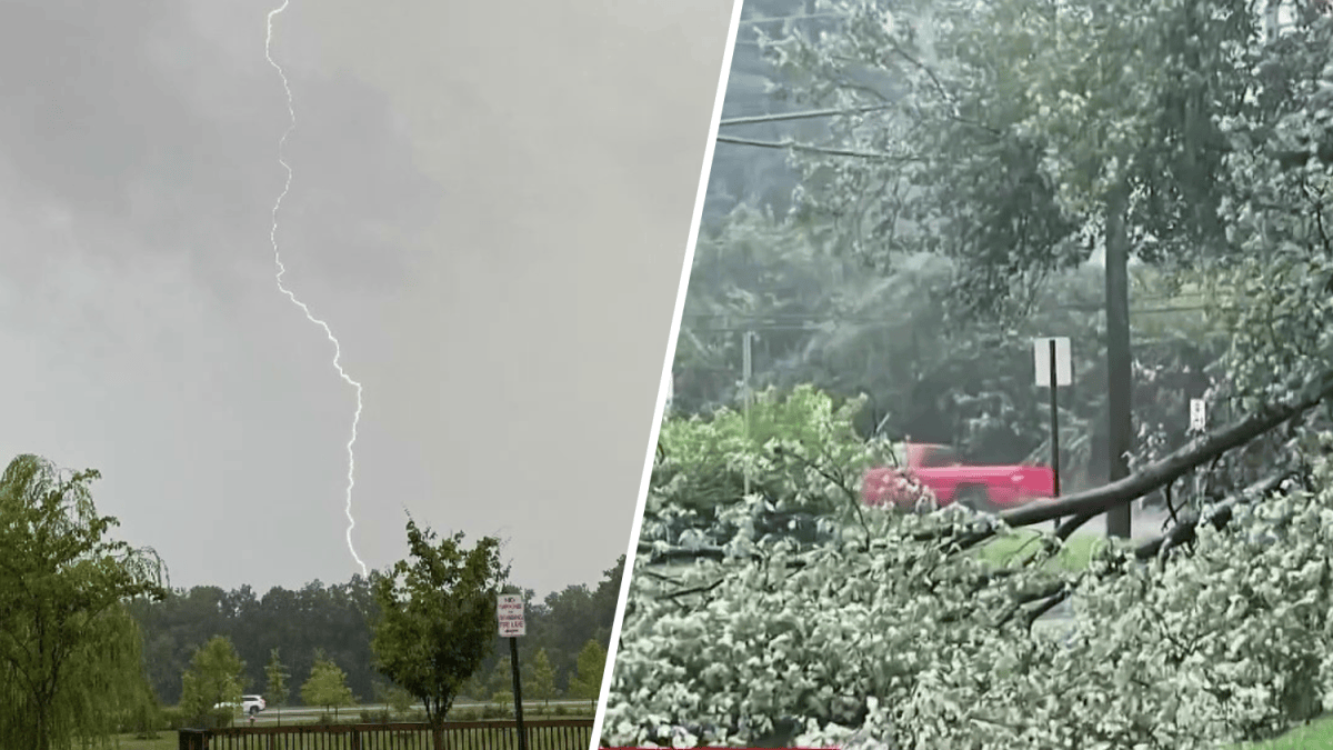 Lightning, hail, fallen trees as storms strike DC area: The News4 ...