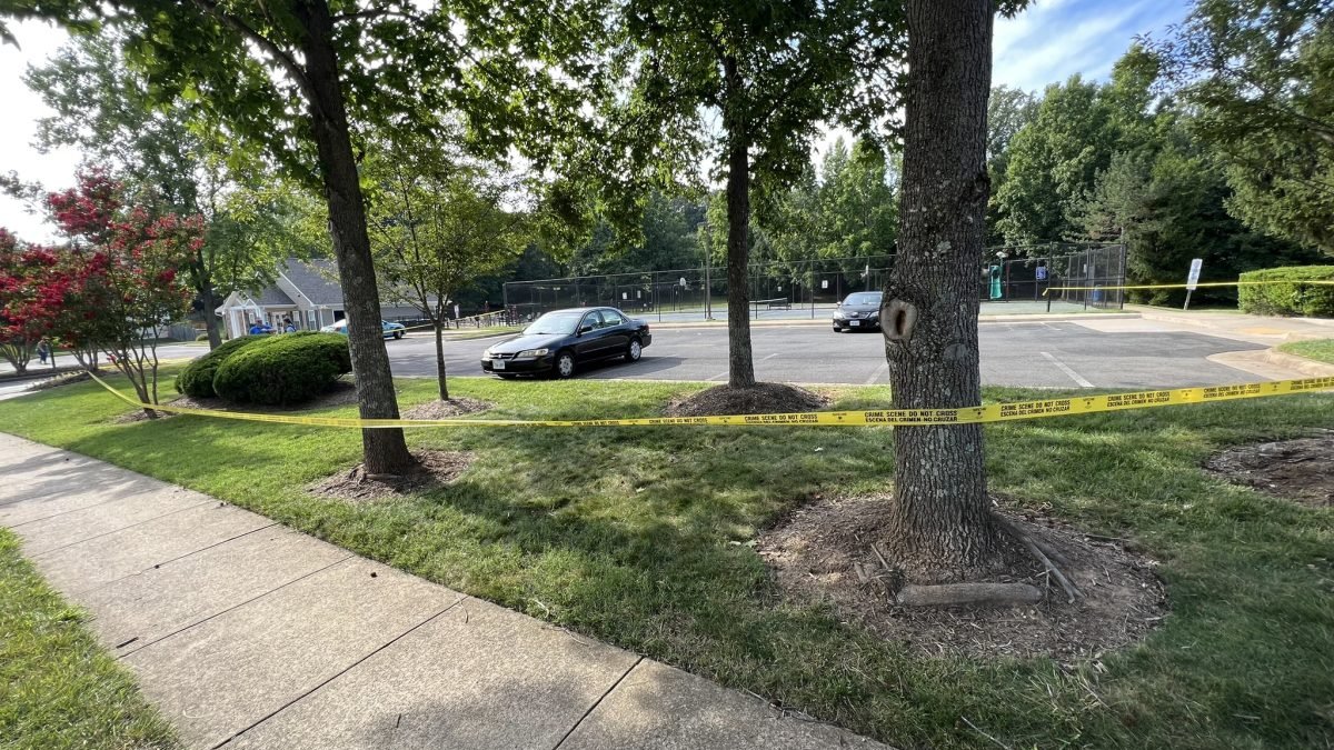 17-year-old boy shot, killed near neighborhood pool in Woodbridge - Vimarsana News