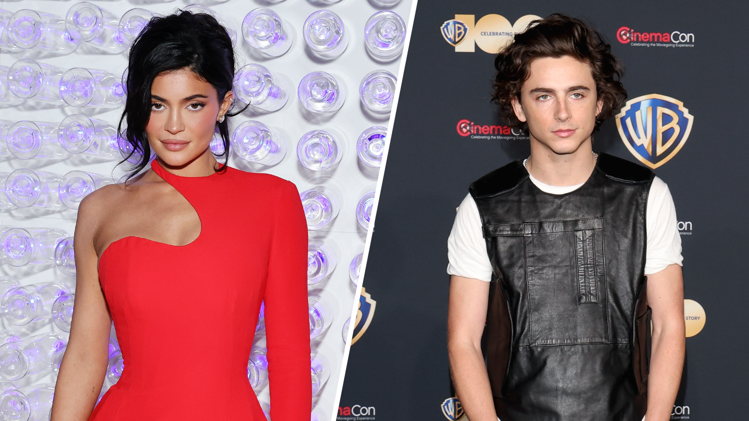 Kylie Jenner and Timothée Chalamet Canoodle at Renaissance Tour on  Beyoncé's Birthday