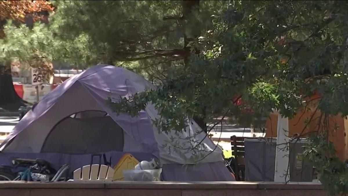 DC counts number of youth experiencing homelessness – NBC4 Washington