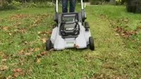4 pro tips for fall lawn care