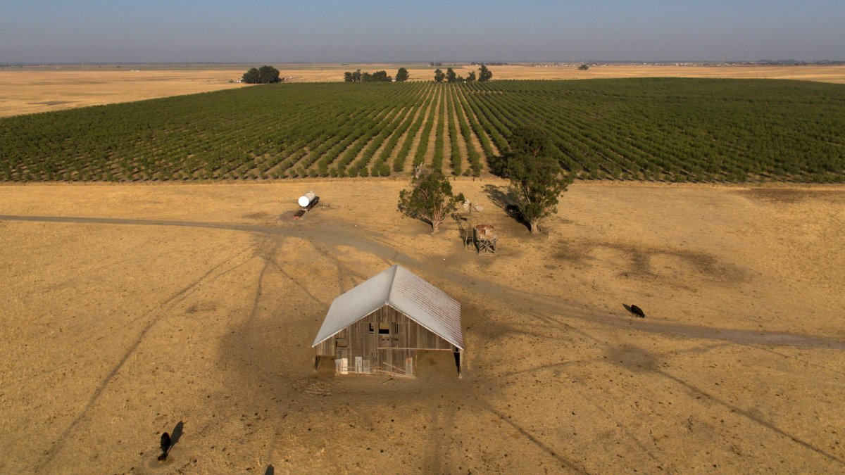 Silicon Valley billionaires want to build a new city in rural Calif. – NBC4 Washington - Vimarsana News
