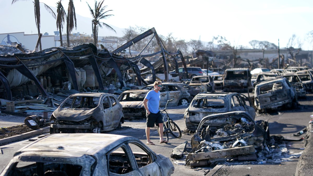 Maui wildfires death toll drops to 97 after DNA testing – NBC4 Washington - Vimarsana News