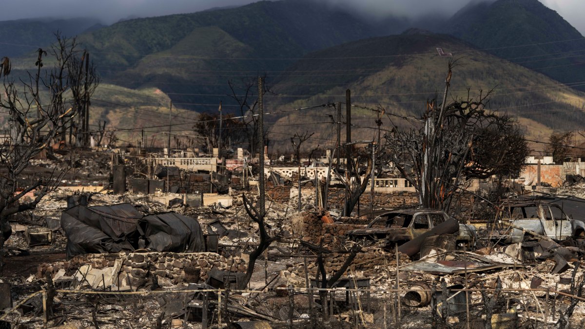 Hawaiian Electric at center of first congressional hearing on Maui wildfires – NBC4 Washington - Vimarsana News