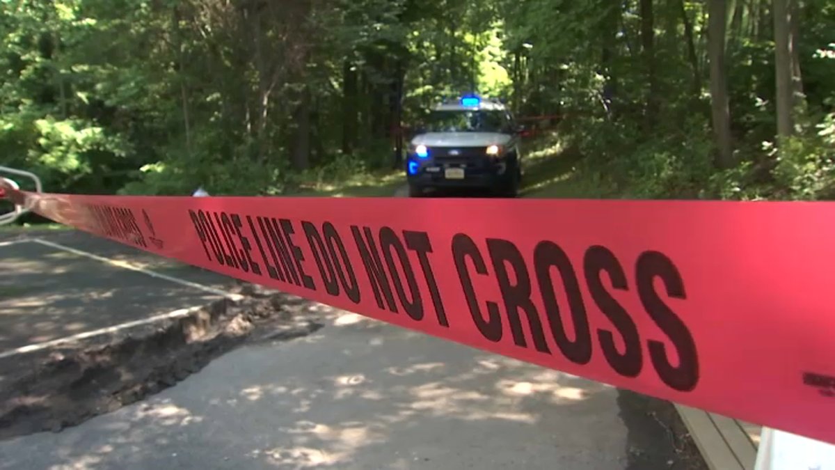 Fairfax County police create unit to investigate red flag cases NBC4