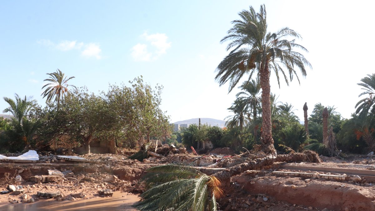 Libya investigates dams' collapse after a devastating flood – NBC4 Washington - Vimarsana News