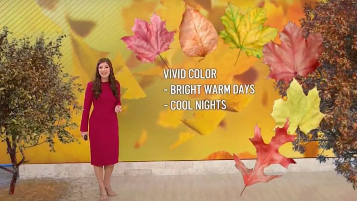 'Less than ideal' fall foliage expected in DC area. Here's why – NBC4 Washington - Vimarsana News