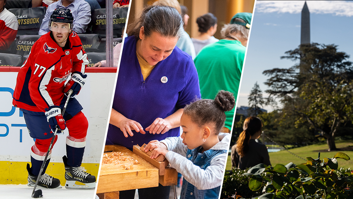 The Weekend Scene: What to do indoors and beyond in the DC area – NBC4 Washington - Vimarsana News