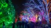 ZooLights at the National Zoo is back, but will cost $6 per ticket this winter